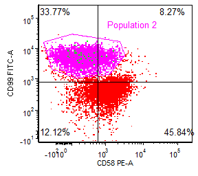 Figure 7b: Flow cytometry (cont.). Two blast population subsets with differing HLA-DR and CD99 expression. Very dim cCD3 and TdT positive subsets are seen. Blasts are negative for MPO.